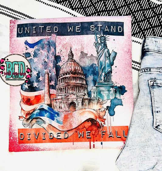 United We Stand Divide We Fall - SHIRT KPI