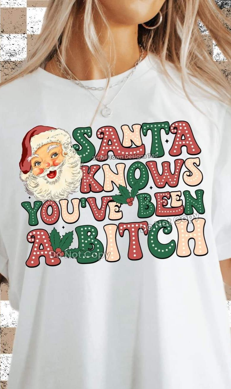 Santa Knows You've Been a Bitch - SHIRT SM.T.D24