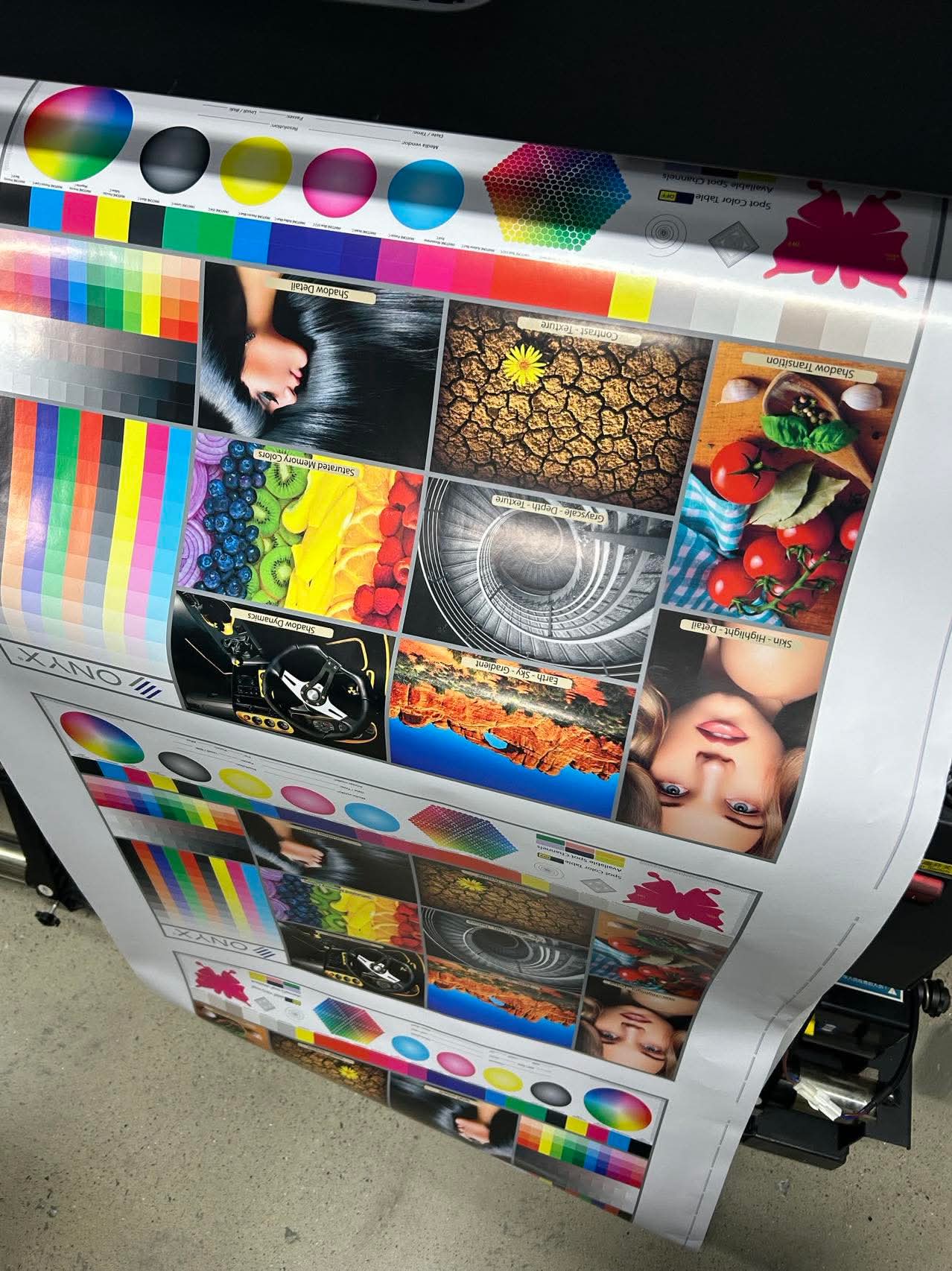 Eco Solvent Printer - Over Seas Shipping Price Included in Price