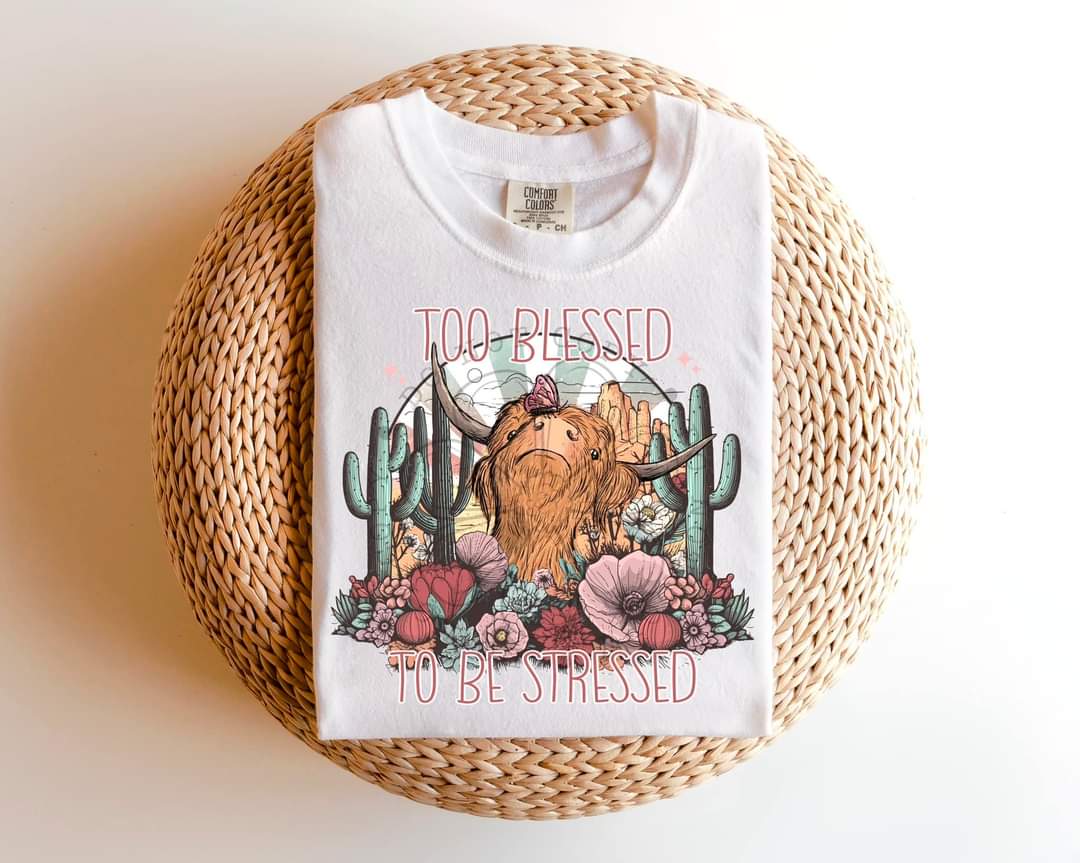 To Blessed To Be Stressed-SHIRT